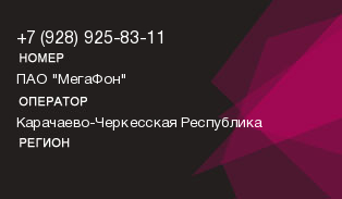 9289258311
